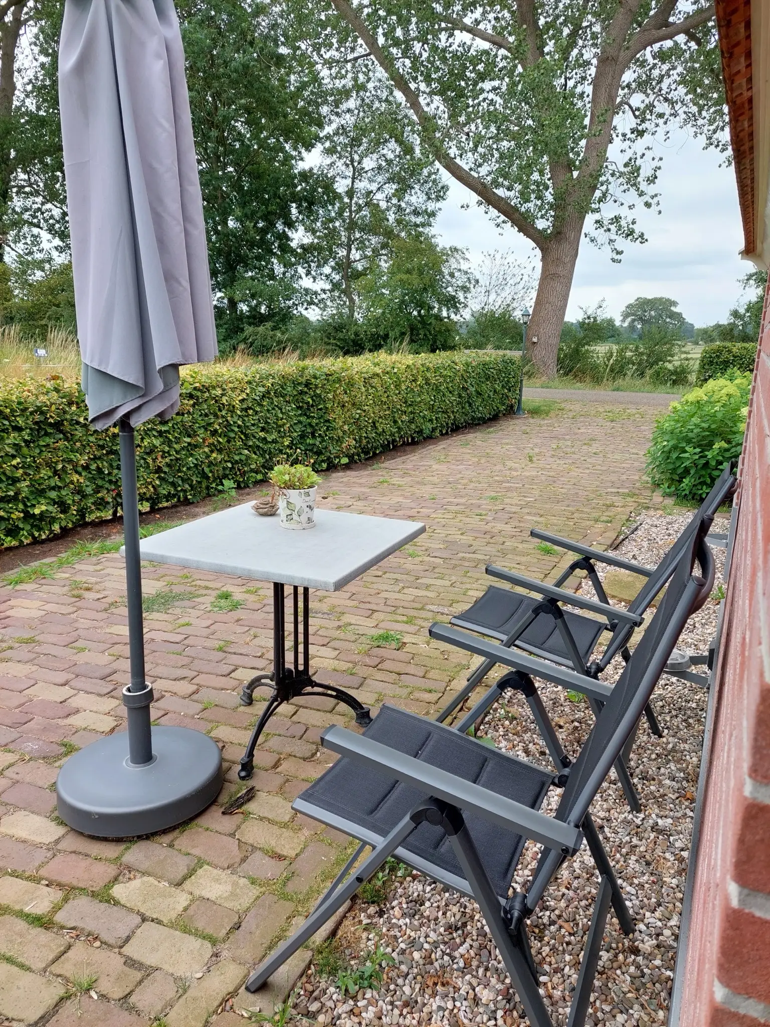 Ligstoelen op het terras